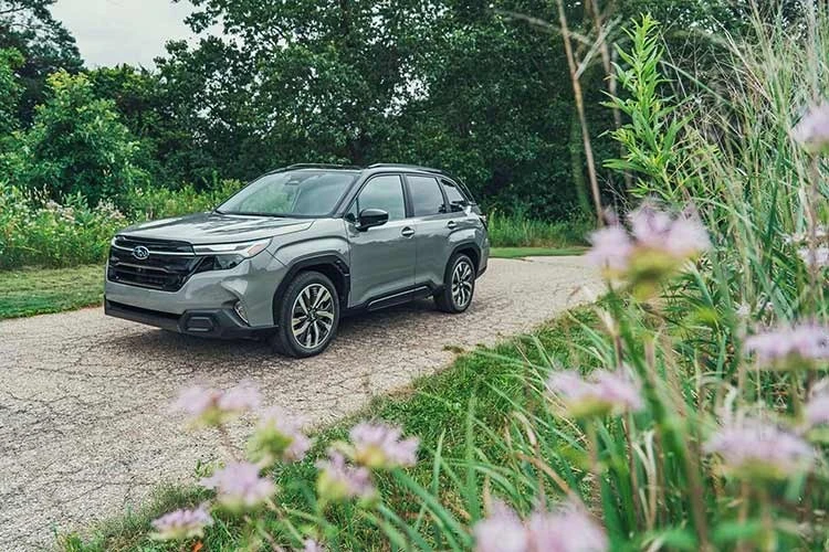 [GALLERY] Subaru Forester HEV ra mắt Việt Nam tháng 10/2026, khoảng 1,5 tỷ?