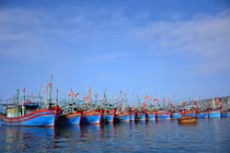 Cứu hộ thành công 11 người vụ tàu cá Hải Phòng gặp nạn trên biển 