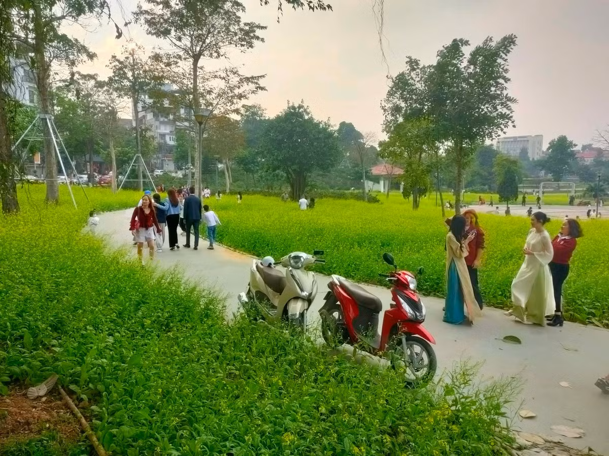 Từ sáng sớm, nhiều gia đình, nhóm bạn trẻ và du khách đã đổ về đây để du xuân, lưu lại những khoảnh khắc đầu năm. Tiếng cười nói rộn ràng, những tà áo dài nhiều màu sắc nổi bật giữa cánh đồng hoa khiến không gian công viên thêm phần sinh động, ấm áp.