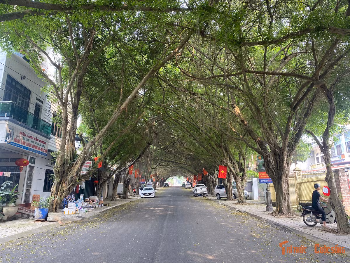 kto-br_2024-04-03-14-18-img-3359.jpg
