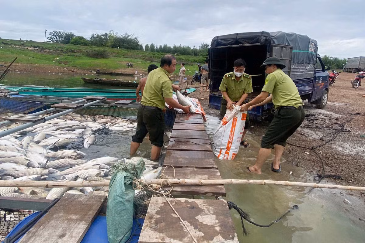 2-20260601162451.jpg