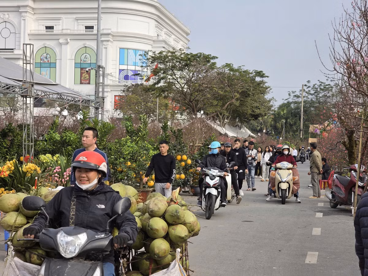 Sau nhiều ngày mưa rét kéo dài, không khí tại chợ Tết Thanh niên tỉnh Phú Thọ trở nên nhộn nhịp hơn khi trời hửng nắng, người dân tranh thủ xuống phố du xuân, mua sắm và tận hưởng những ngày cận Tết.
