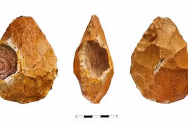 Phát hiện mới về công cụ bằng đá của người Homo erectus