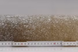 Phát hiện bất ngờ về lõi băng 6 triệu năm tuổi tại Nam Cực