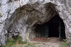 Nghiên cứu ADN hé lộ bí mật về những người Neanderthal cuối cùng