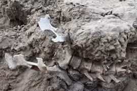 Khai quật ngôi mộ hơn 1.000 năm tuổi, phát hiện thứ không ngờ
