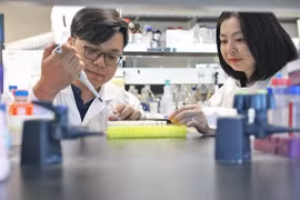 Nhà khoa học gốc Việt gia tăng giá trị doanh nghiệp Việt Nam