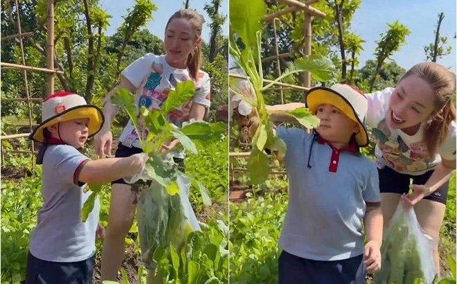 Mãn nhãn khu vườn xanh mướt của diễn viên Chi Bảo và vợ trẻ