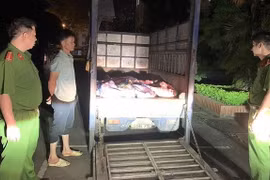 Phát hiện hàng tấn thịt lợn bốc mùi tại Vĩnh Phúc