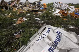 Gallery - Thảm Họa MH17 - image 7