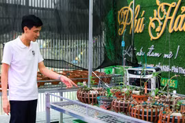 Gallery - LAN ĐỘT BIẾN TRĂM TỶ - image 14