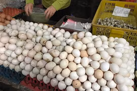 Trứng gà rẻ hơn rau, phá sản vì cảnh cả đời chưa từng có