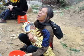 Sợ... lễ hội