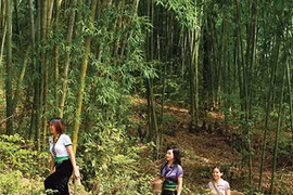 Thăm nơi "trâu sắt" bắt gái xinh, trai đẹp nô dịch