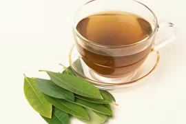 Gallery - Phòng Chống Bệnh Gout - image 15