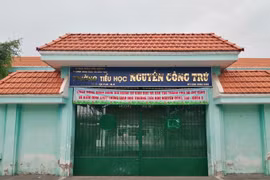 Quận 8: Đang tìm nhà thầu sửa chữa Trường Tiểu học Nguyễn Công Trứ 