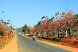 Lâm Đồng: Cty Thành Tâm An "lội ngược dòng" thắng gói thầu làm đường tại Thọ Xuân