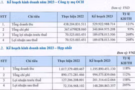 Chủ sở hữu Kem Tràng Tiền đã có lãi, vẫn dính loạt vấn đề