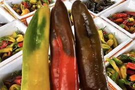 Ớt “khổng lồ” có hương vị ngọt ngào như trái cây hơn 100 nghìn/kg