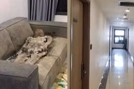Ai là người từng ở cùng cô gái chết khô trên sofa ở Hà Nội?