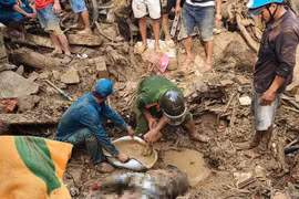 Gallery - HLV Bruno Chia Tay Tuyển Việt Nam - image 12