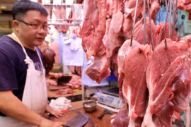 Giá heo hơi hôm nay: Thức ăn chăn nuôi dự báo tăng, còn giá heo hơi giảm mạnh