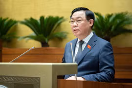 Gallery - Công Ty KT-CB-XNK Khoáng Sản Việt Nam Gây Ô Nhiễm - image 16
