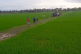 Hà Nội: Một phụ nữ bị sét đánh khi hái rau ngoài ruộng