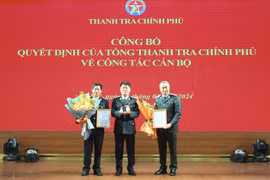 Tân Chánh Văn phòng Thanh tra Chính phủ là ai?
