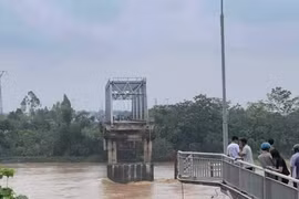 Cục Đường bộ đề xuất xây mới cầu Phong Châu bằng vốn ngân sách Nhà nước
