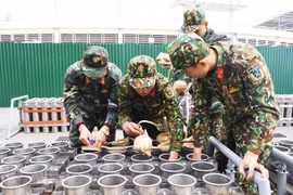 Pháo hoa đêm Giao thừa tại Hà Nội có gì đặc biệt?