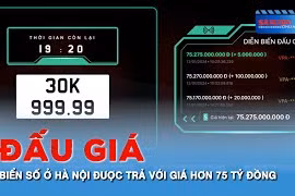 Biển số ô tô “siêu đẹp” ở Hà Nội và Quảng Ninh bị bỏ cọc