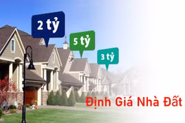 Một số điều hành, chỉ đạo nổi bật của Chính phủ trong tháng 2/2024