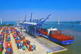 Nhóm cổ phiếu vận tải biển nổi sóng khi VN-Index tiệm cận 1.300 điểm