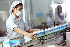 Cổ phiếu MCM của Mộc Châu Milk sắp chào sàn HoSE