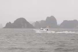 Gallery - TIN BÃO SỐ 5 - image 13