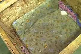 Bố mẹ bắt con gái 3 tuổi ngủ trong hộp đầy gián chết