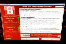 Gallery - Mã Độc WannaCry Tấn Công Toàn Cầu - image 14