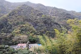 Gallery - KINH TẾ VIỆT NAM - image 17