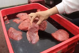 Thực phẩm bẩn rình rập, làm sao để không trở thành nạn nhân?