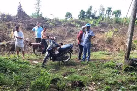 Nhân viên bất động sản chết bất thường trong vườn điều