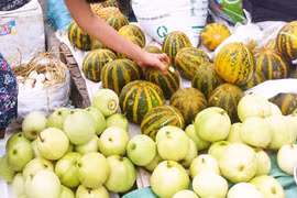 2 loại quả không lo “ngậm” thuốc trừ sâu, ở chợ đầy