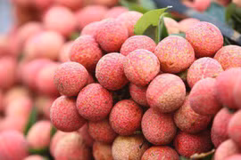 Trái cây mùa hè càng ăn càng hại sức khỏe?