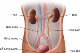 Bỏ dở điều trị bệnh thận mạn tính, trẻ sẽ tử vong
