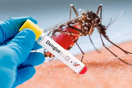 Việt Nam sẽ tham gia tiêm thử nghiệm vaccine sốt xuất huyết