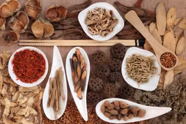 “Thần dược” chữa phì đại tiền liệt tuyến