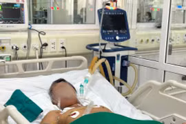 Bắt rắn cạp nia bỏ cặp chơi, bé trai 7 tuổi bị cắn liệt toàn thân