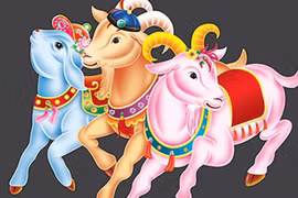 Gallery - Xem Tuổi Sinh Con - image 3