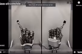 Video: Robot có bàn tay cực khéo léo như tay con người