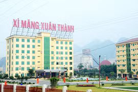 Xi Măng Xuân Thành xuất khẩu ra nước ngoài, sở hữu tài sản tỷ USD